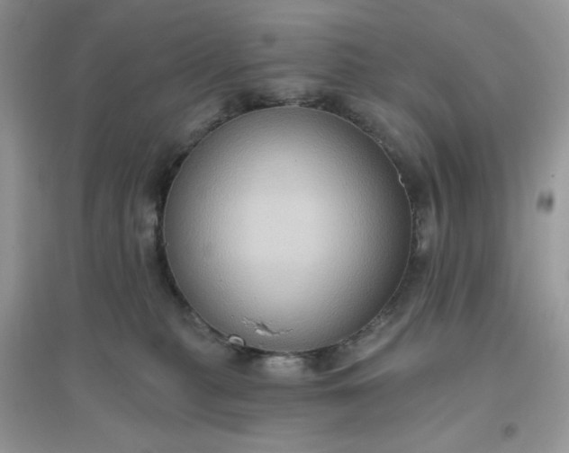 X0000096130279200802011155