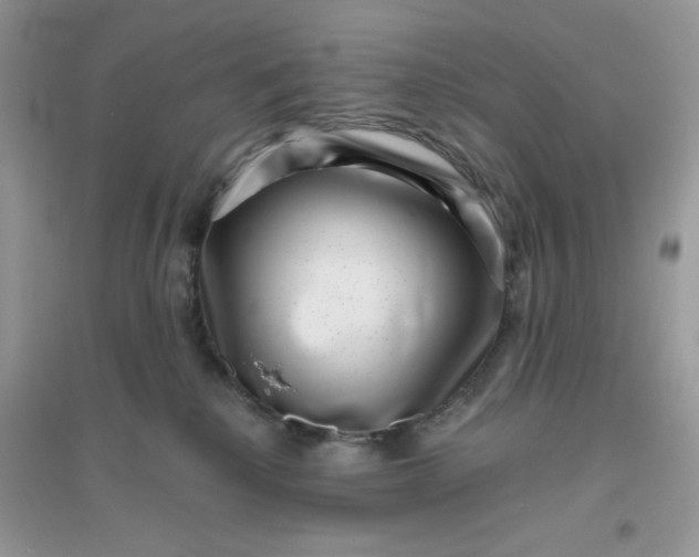 X0000096130280200802011155
