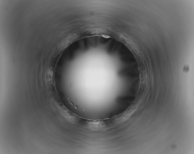X0000096130281200802011155