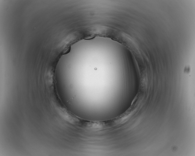 X0000096130282200802011155