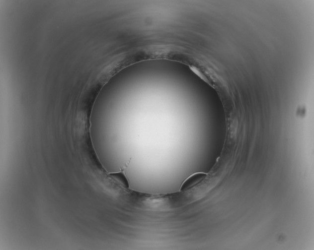 X0000096130283200802011155