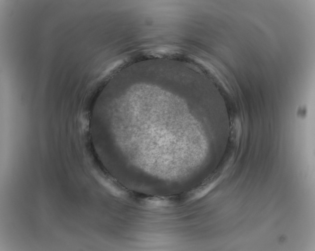 X0000096130284200802011155