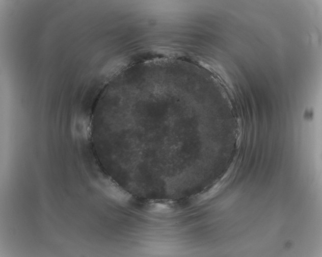X0000096130285200802011155
