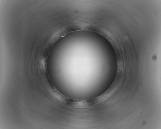 X0000096130286200802011155