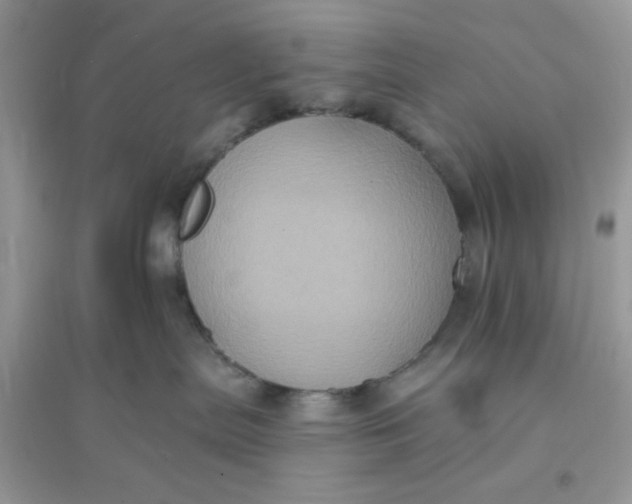 X0000096130287200802011155