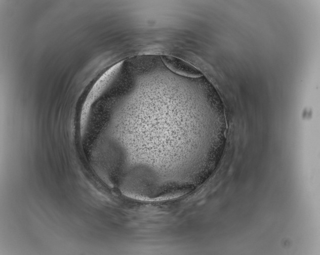 X0000096130290200802011154