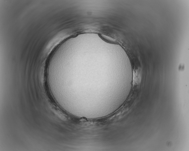 X0000096130291200802011154