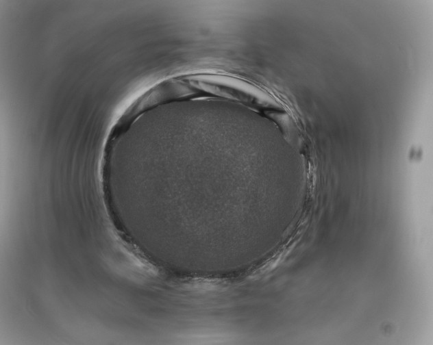 X0000096130292200802011154