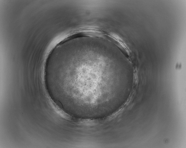 X0000096130293200802011154