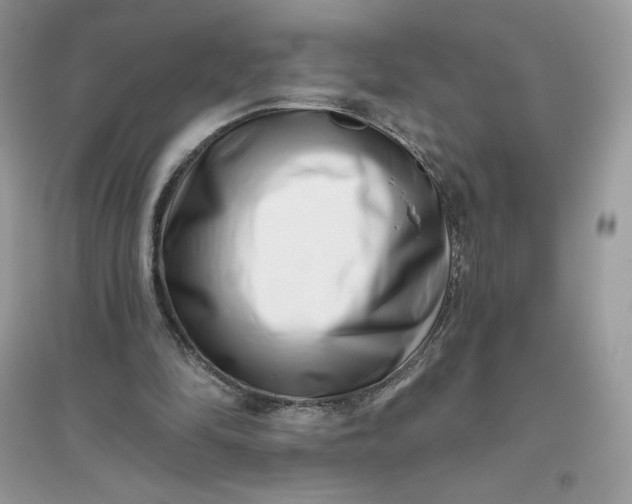 X0000096130294200802011154