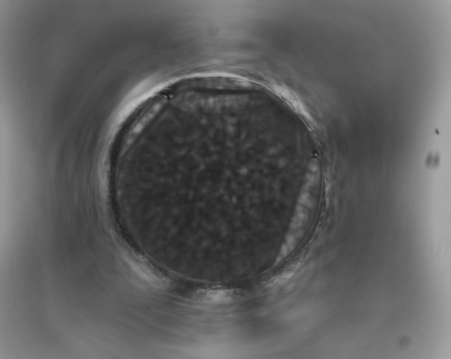 X0000096130295200802011154