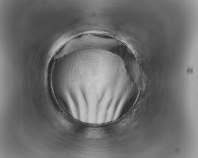 X0000096130296200802011154