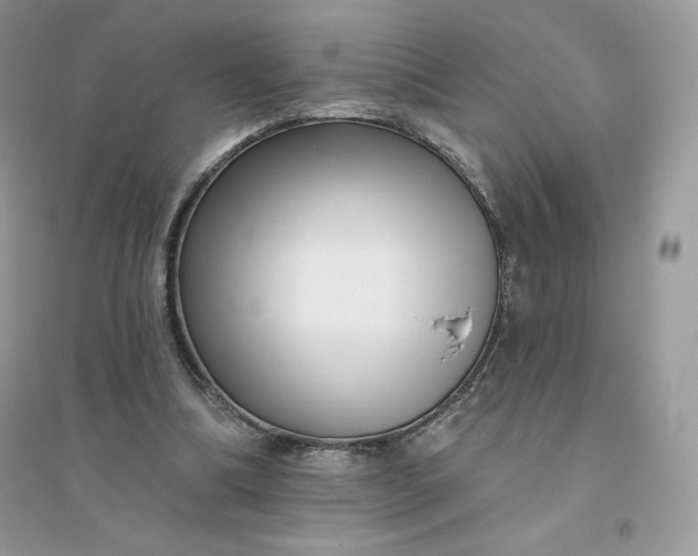X0000096130298200802011154