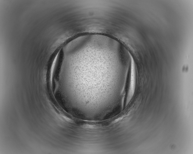 X0000096130299200802011154