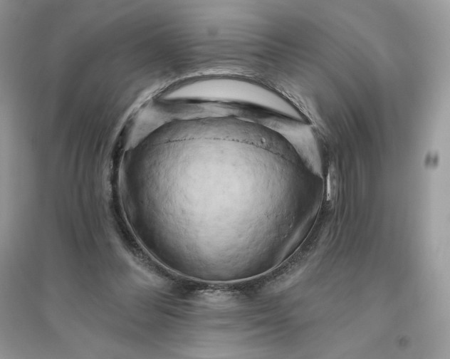 X0000096130300200802011154