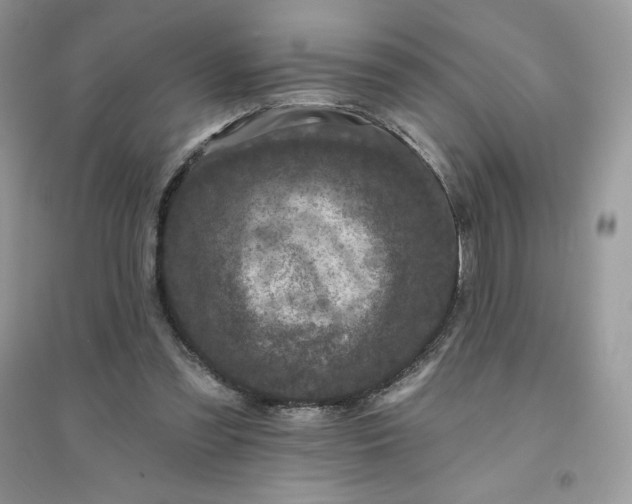X0000096130301200802011154