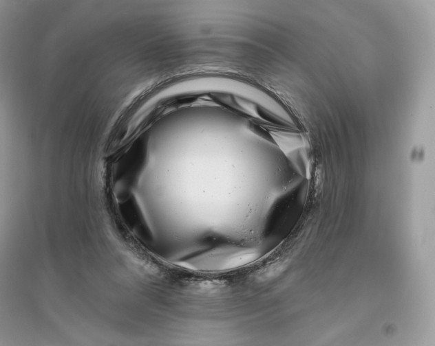 X0000096130304200802011154