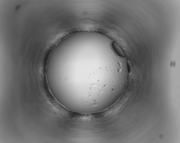 X0000096130306200802011154