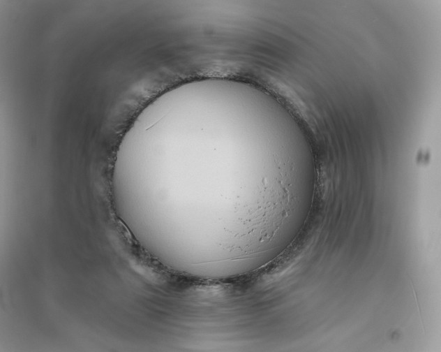 X0000096130307200802011154