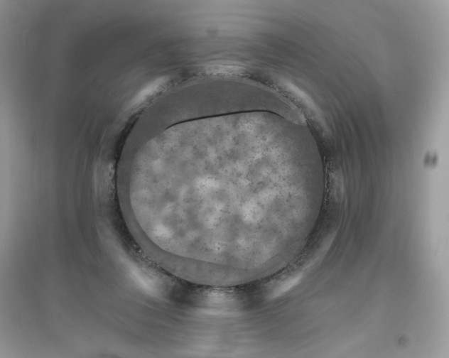 X0000096130308200802011154
