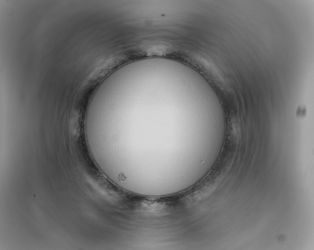 X0000096130311200802011154