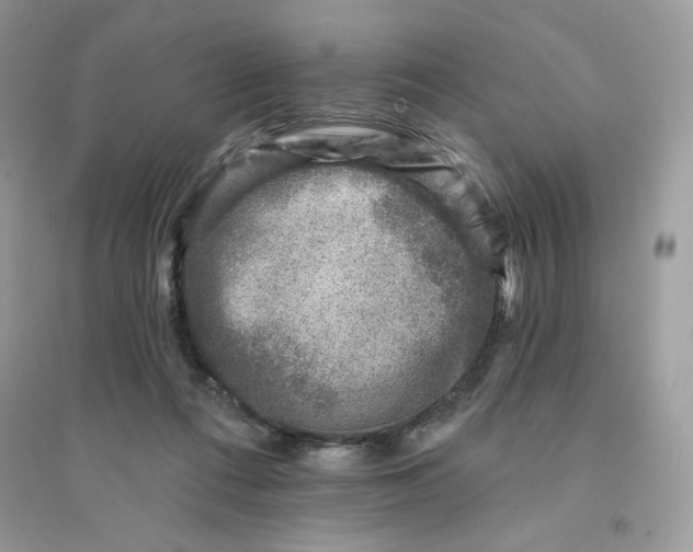 X0000096130312200802011154