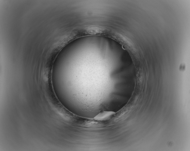 X0000096130315200802011154