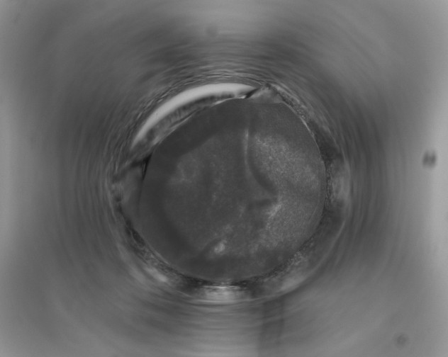 X0000096130316200802011154