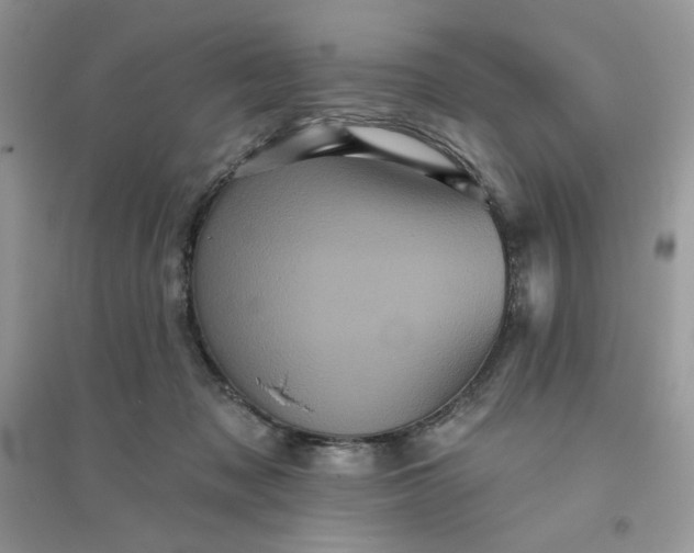 X0000096130317200802011154