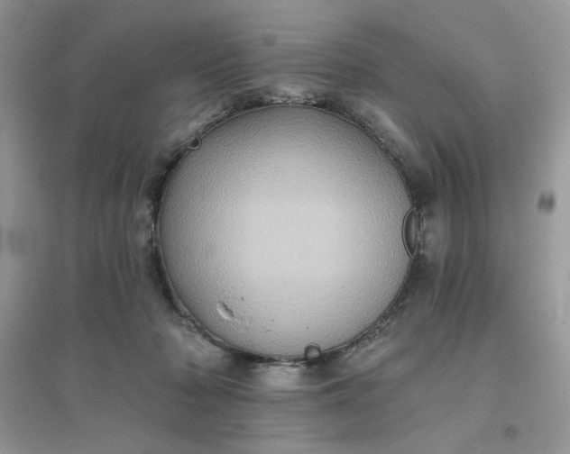 X0000096130318200802011154