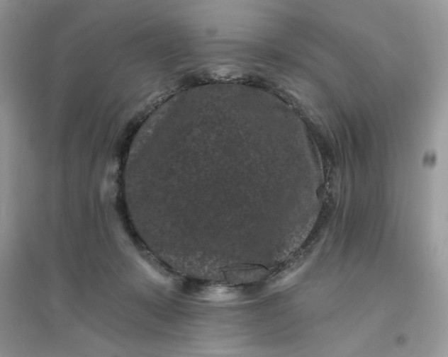 X0000096130319200802011154