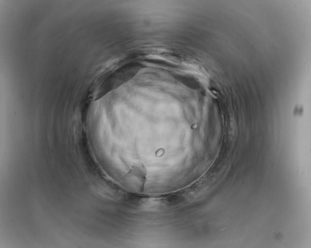 X0000096130320200802011154