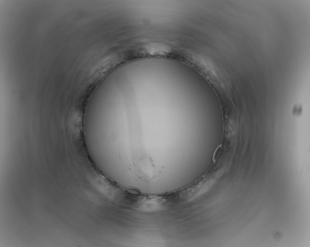 X0000096130321200802011154