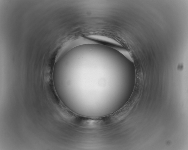 X0000096130323200802011154