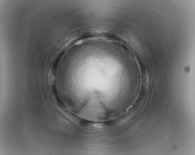 X0000096130324200802011154
