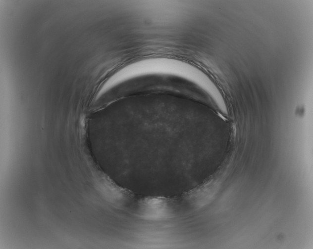 X0000096130325200802011154