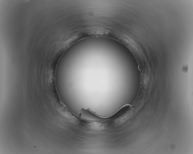 X0000096130326200802011154