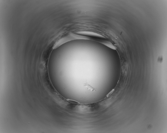 X0000096130327200802011154