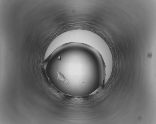 X0000096130328200802011154