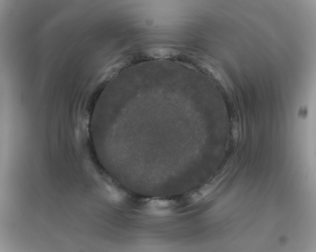 X0000096130332200802011154