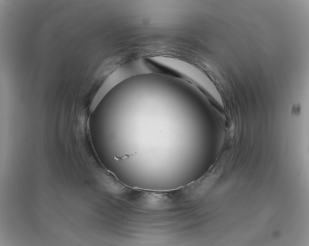 X0000096130333200802011154