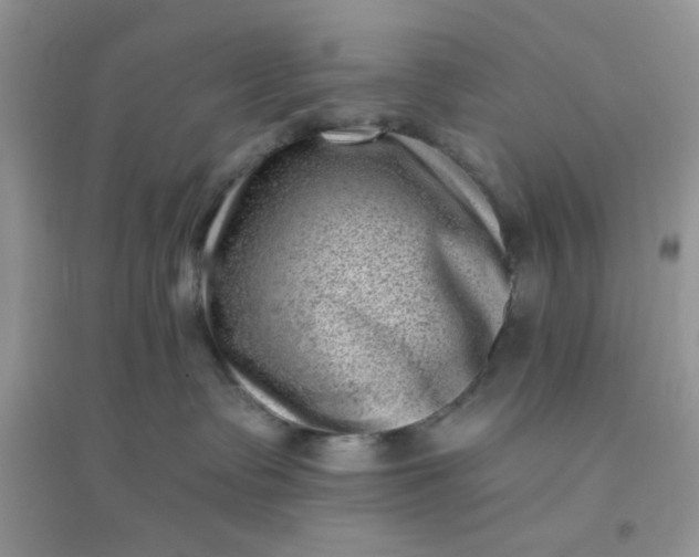 X0000096130335200802011154