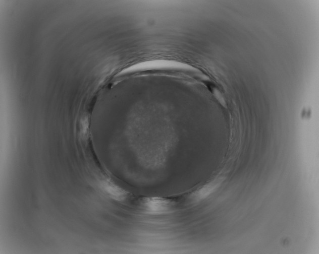 X0000096130336200802011154