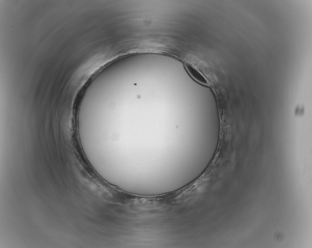 X0000096130338200802011153