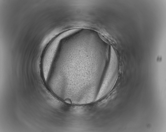 X0000096130341200802011153