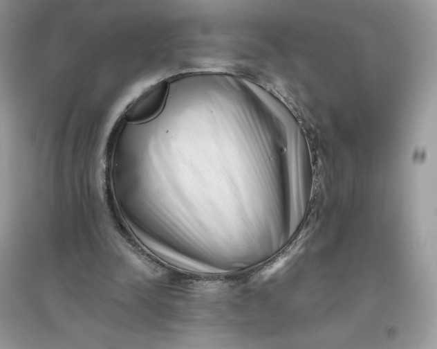 X0000096130342200802011153