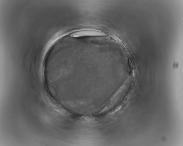 X0000096130343200802011153