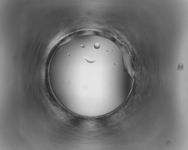 X0000096130344200802011153
