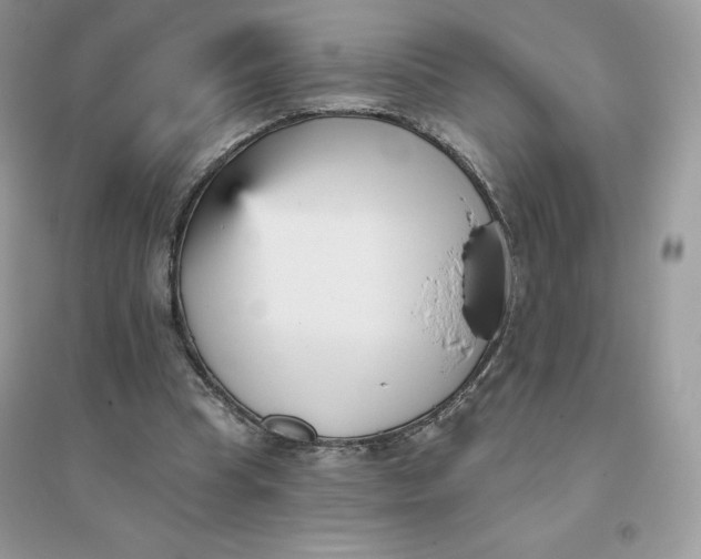 X0000096130345200802011153