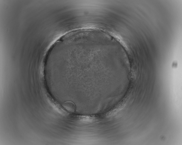 X0000096130347200802011153